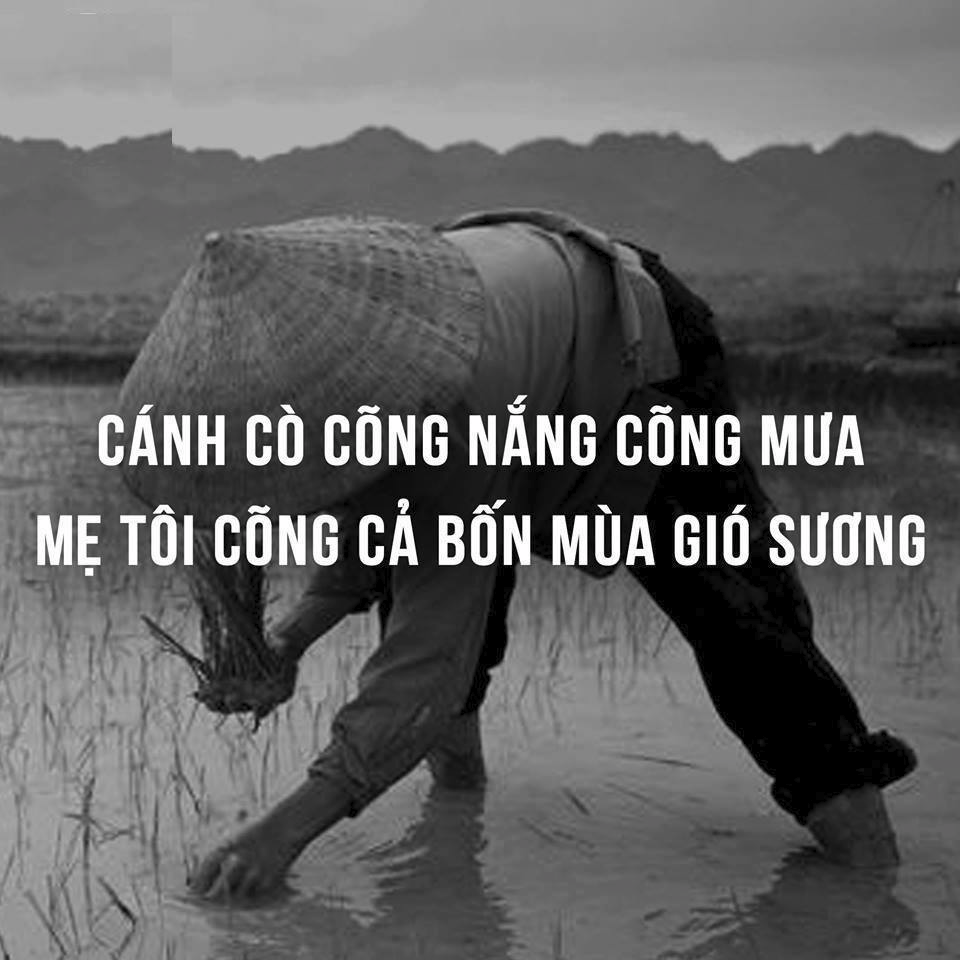 Hình ảnh người mẹ buồn nhưng đầy ý nghĩa