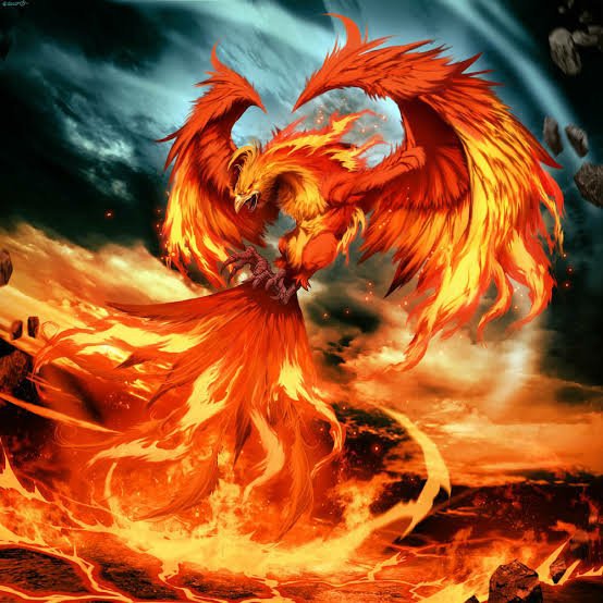 Khám phá ý nghĩa của Đảo Phượng Hoàng