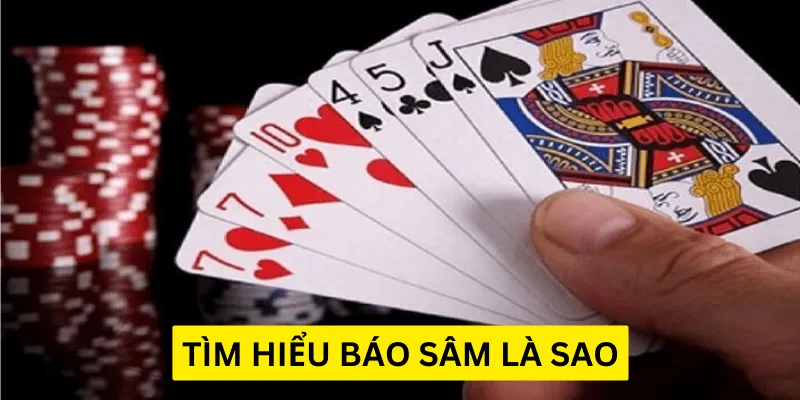 Báo sâm là sao? Luật sâm lốc quy định khi nào nên báo sâm?