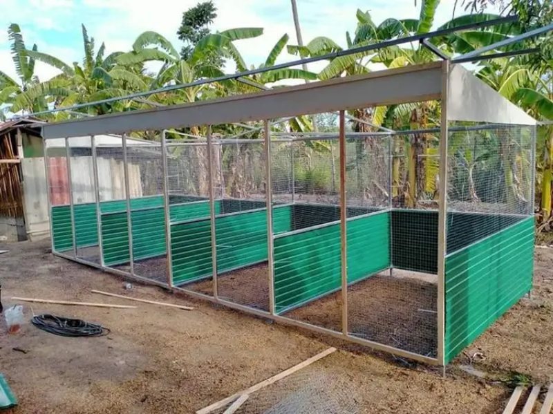 Kết hợp sắt và tre trong thiết kế chuồng gà